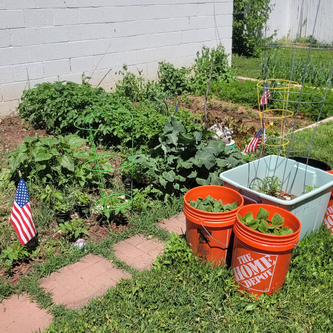 Image illustrates a victory garden.