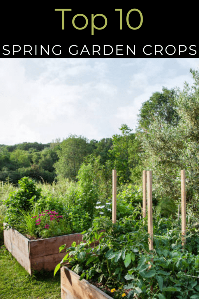 Image illustrates a spring garden.