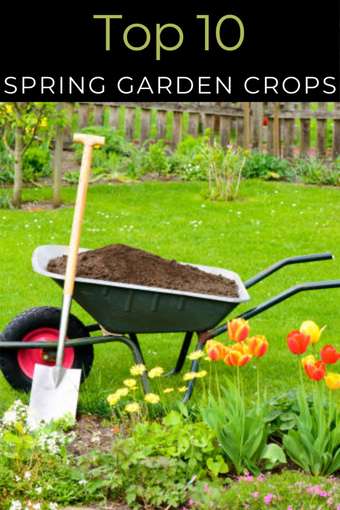 Image illustrates a spring garden.