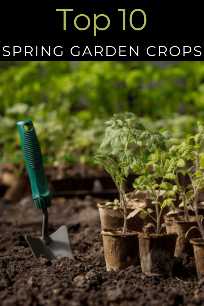 Image illustrates a spring garden.