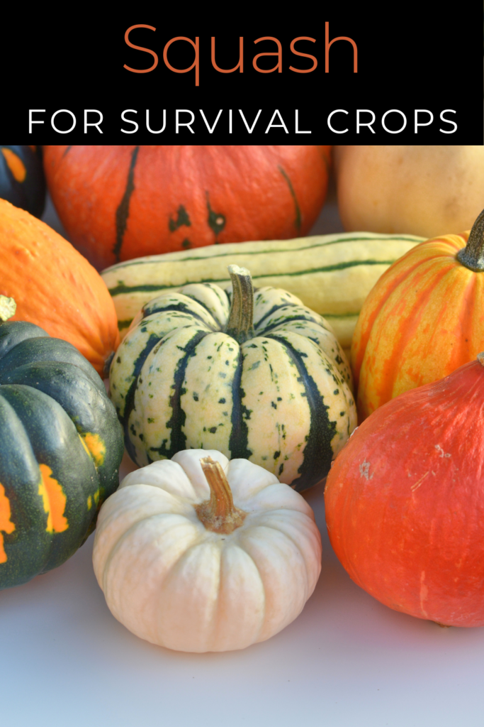 Image illustrates survival crops.