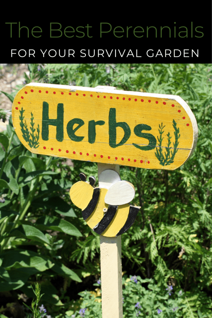 Image illustrates the best perennial vegetables for a sustainable survival garden.