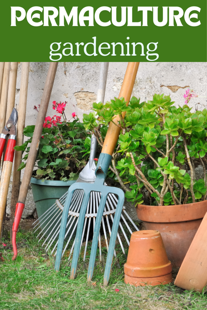 Image illustrates a permaculture garden.