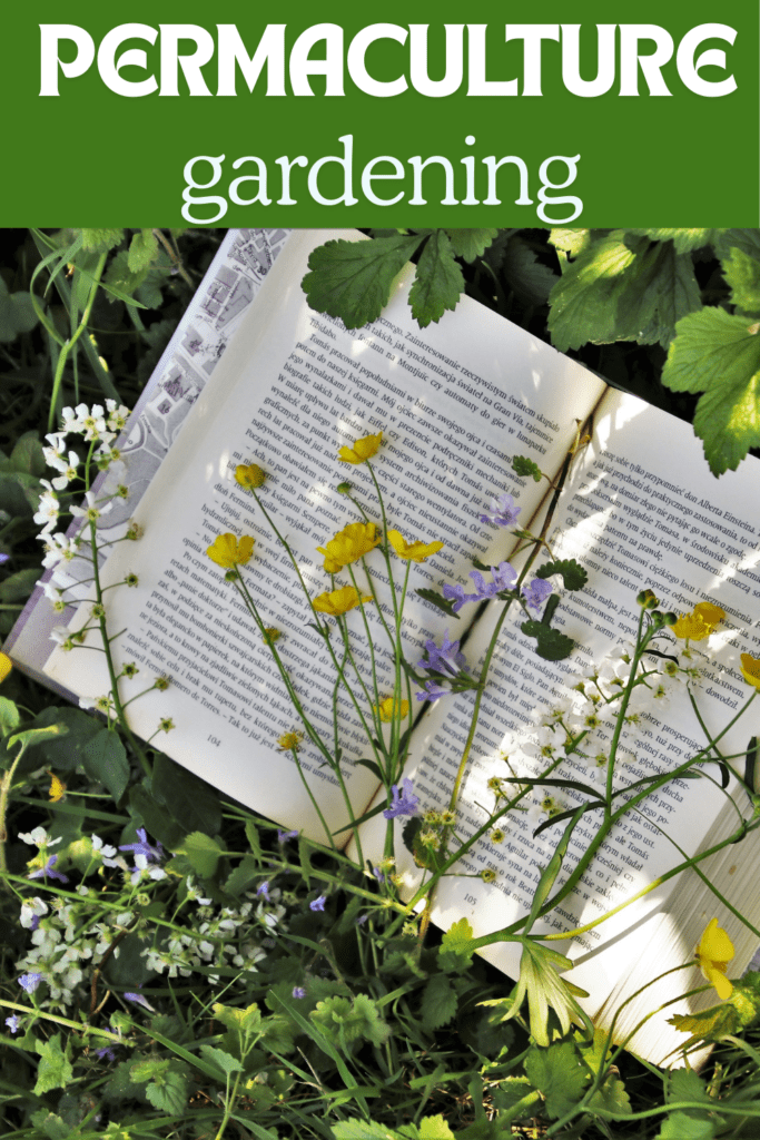 Image illustrates a permaculture garden.