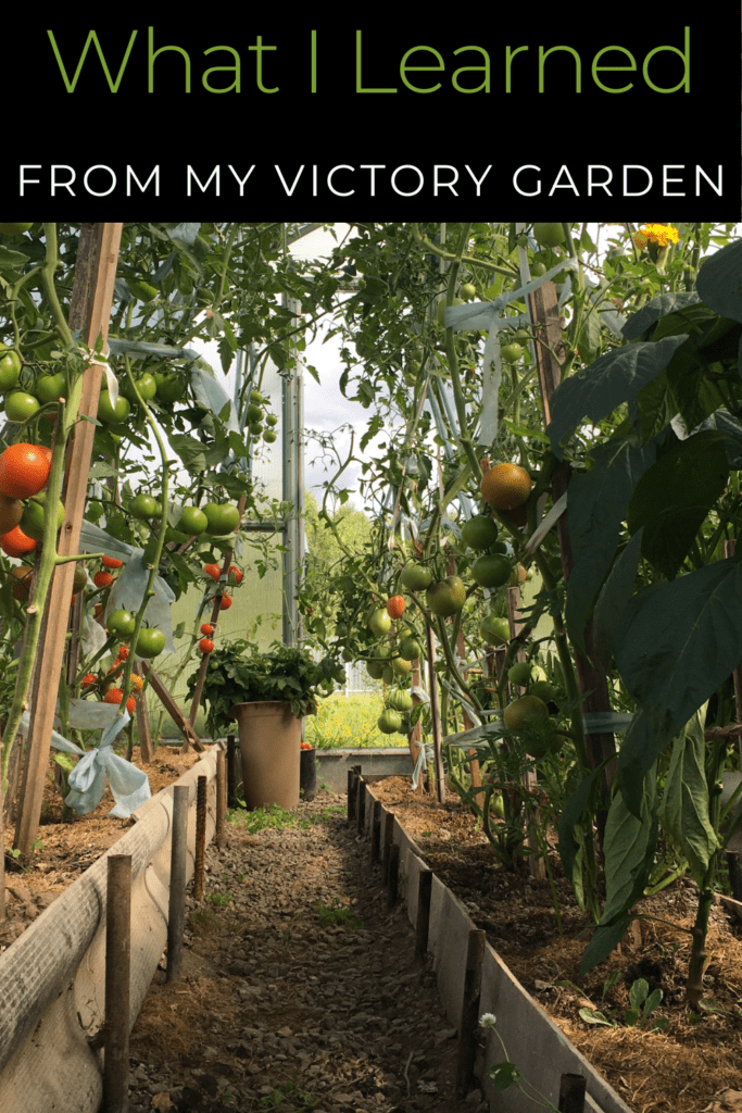 Image illustrates a victory garden.