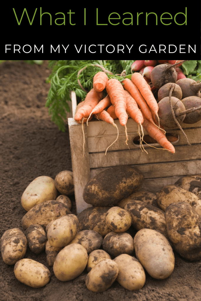 Image illustrates a victory garden.
