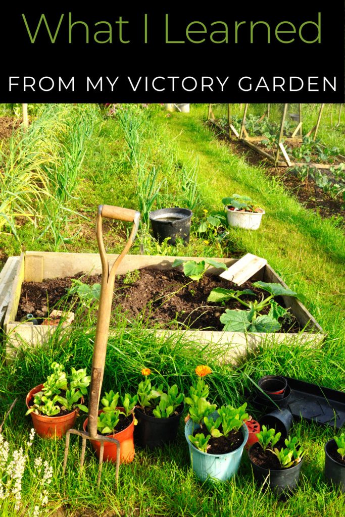 Image illustrates a victory garden.