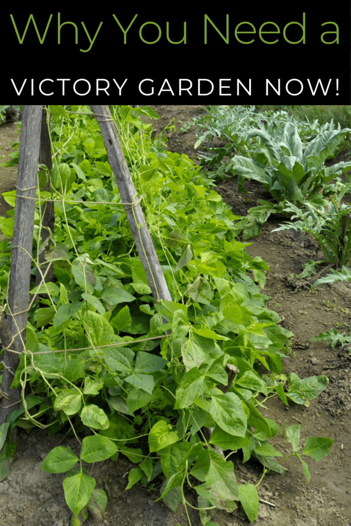 Image illustrates a victory garden.