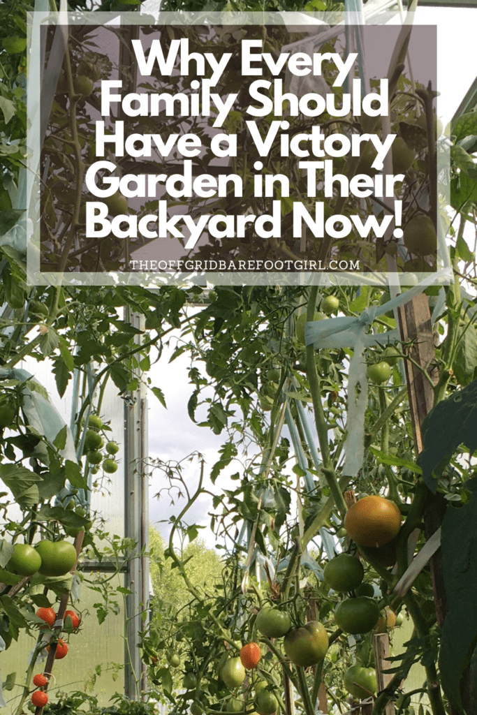 Image illustrates a Pinterest pin of a victory garden.