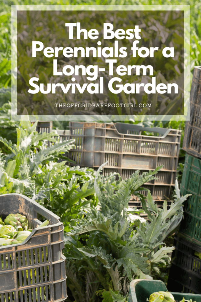 Image illustrates a Pinterest pin of the best perennial vegetables for a sustainable survival garden.