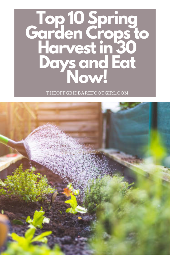 Image illustrates a Pinterest pin of a spring garden.