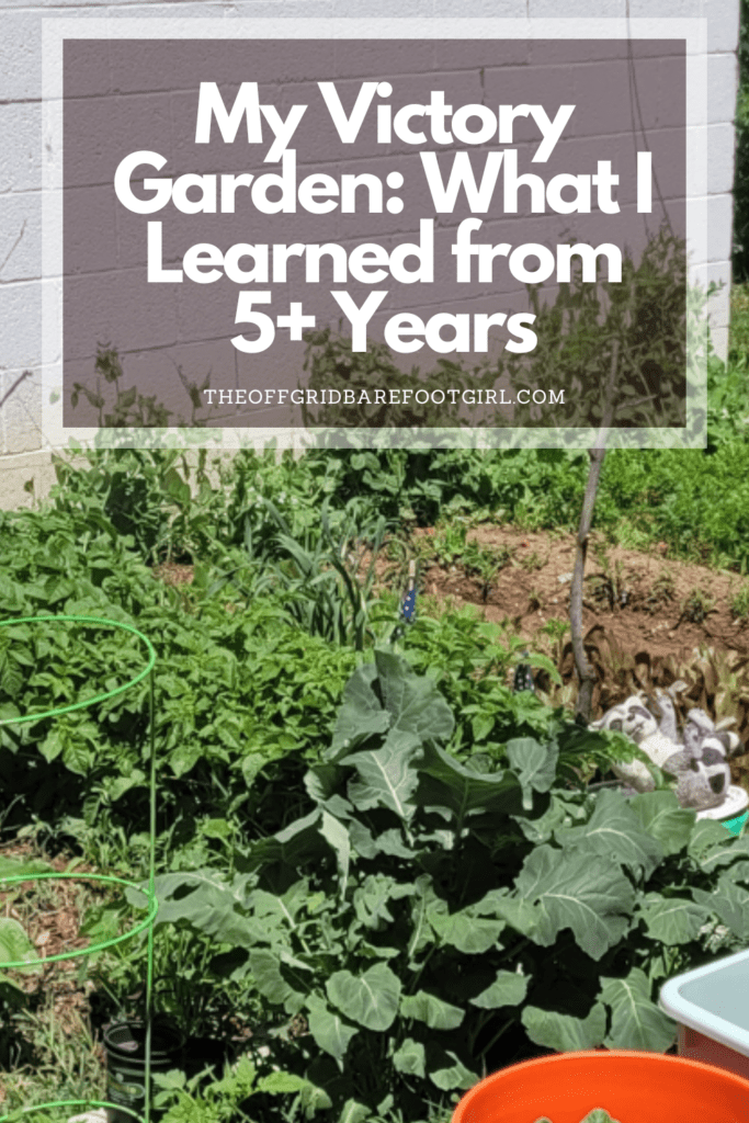 Image illustrates a Pinterest pin of a victory garden.