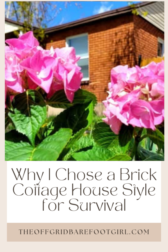 Image illustrates a Pinterest pin of a cottage house style.