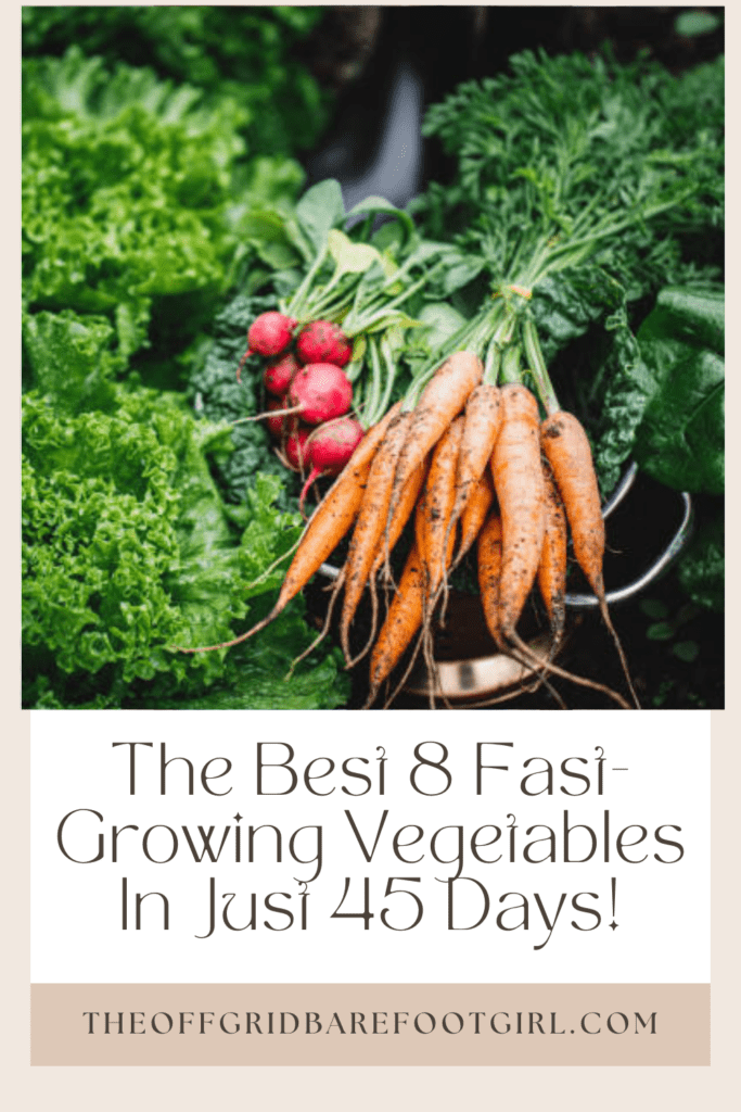 Image illustrates a Pinterest pin of fast-growing vegetables.