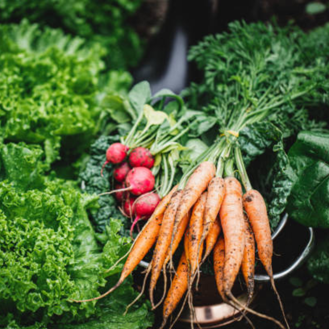 Image illustrates fast-growing vegetables.