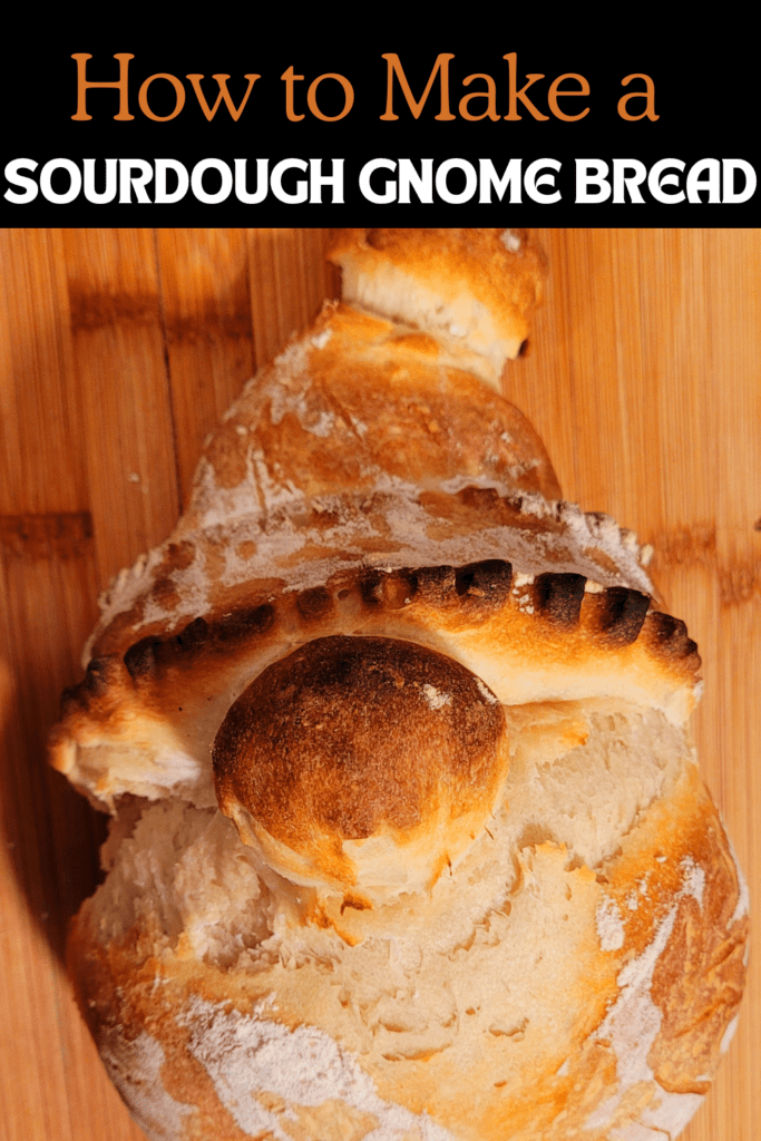 Image illustrates a sourdough gnome bread.