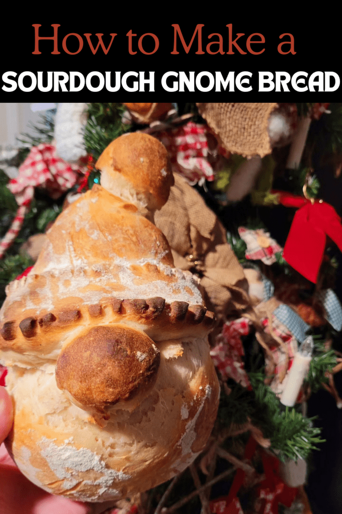 Image illustrates a sourdough gnome bread.