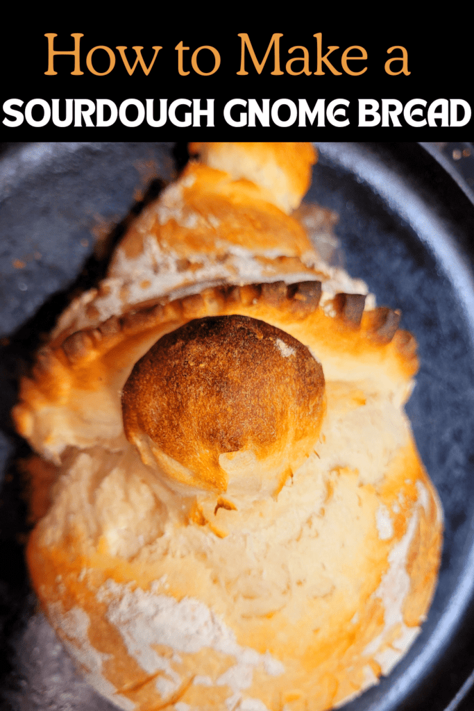 Image illustrates a sourdough gnome bread.