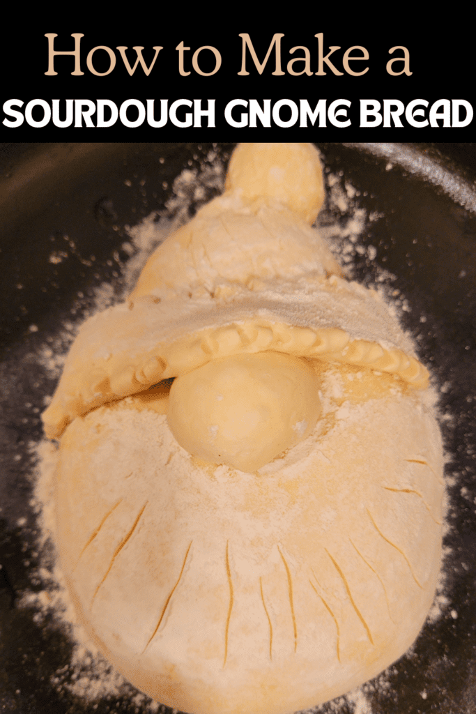 Image illustrates a sourdough gnome bread.