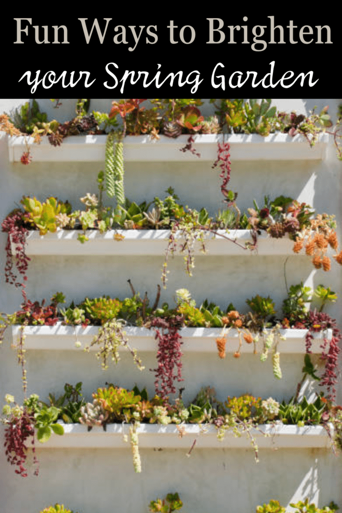 Image illustrates a rain gutter flower garden for a spring garden.