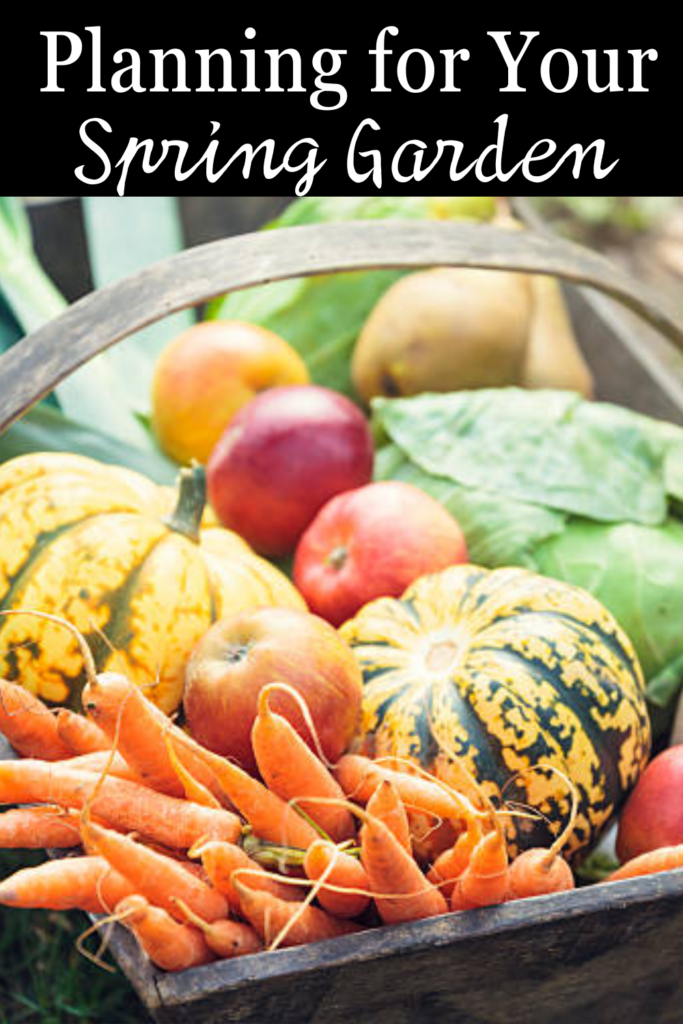 Image illustrates vegetables for a spring garden.