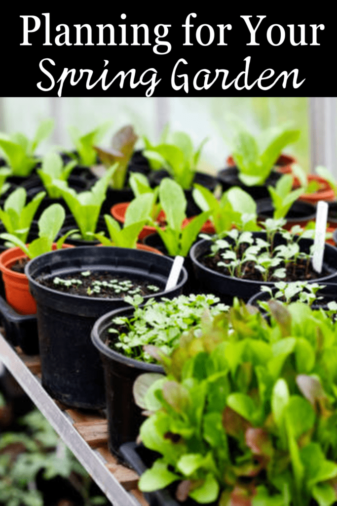 Image illustrates seed starting for a spring garden.