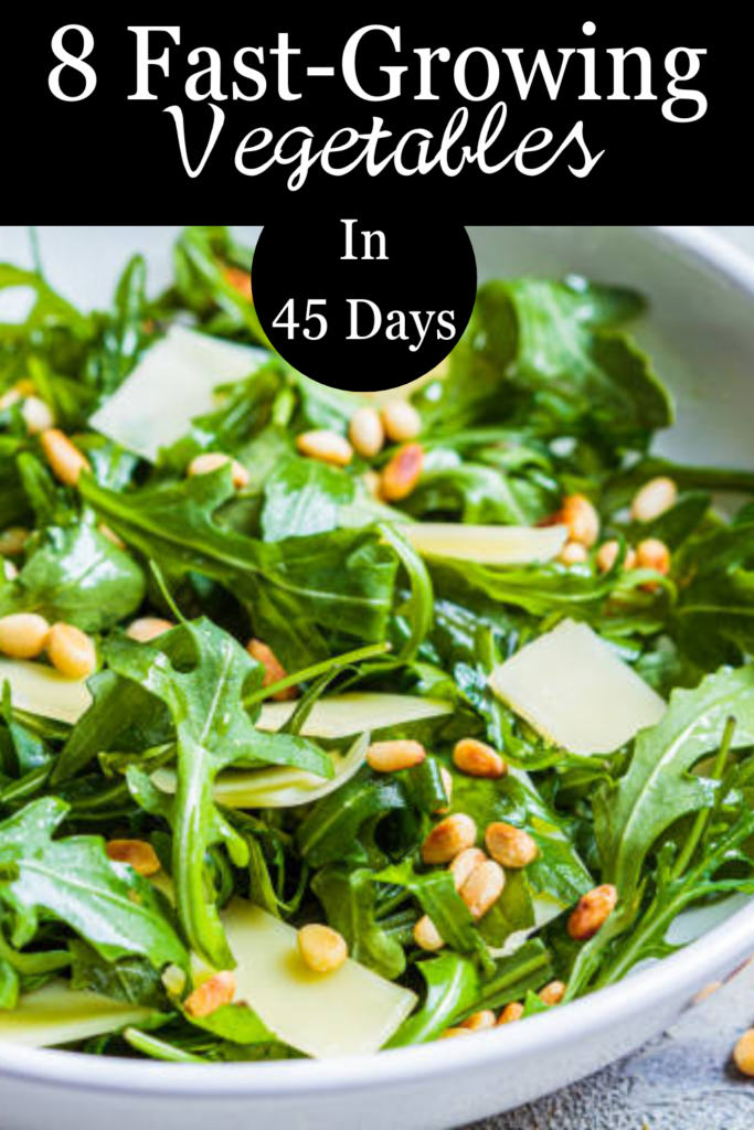 Image illustrates fast-growing vegetables.