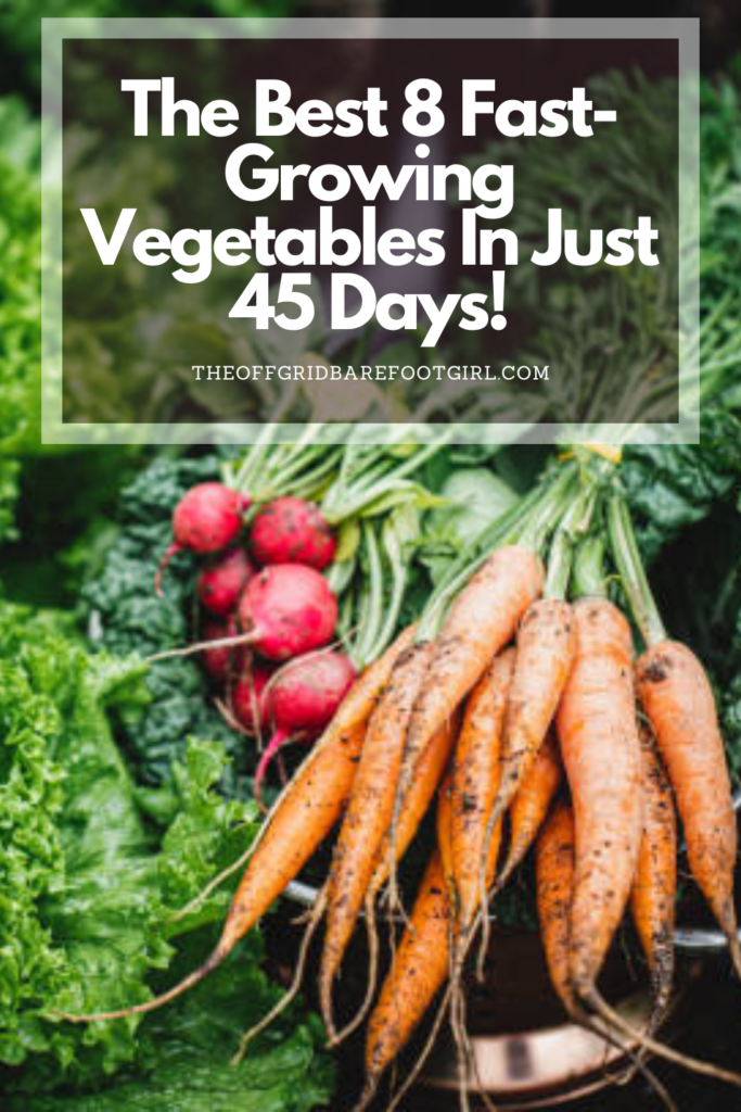 Image illustrates a Pinterest pin of fast-growing vegetables.