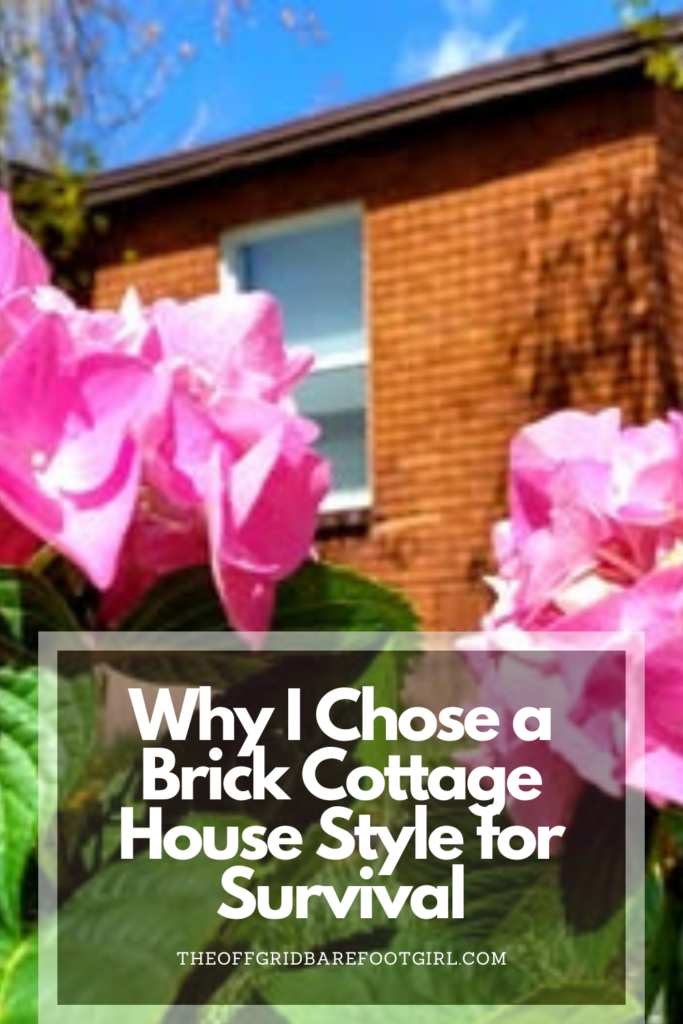 Image illustrates a Pinterest pin of a cottage house style.