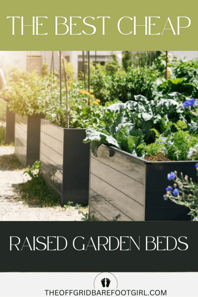 Image illustrates the best cheap raised vegetable garden beds.