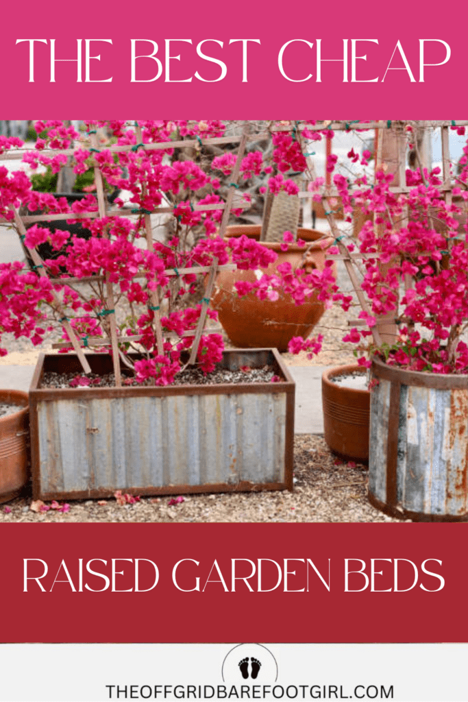 Image illustrates the best cheap raised vegetable garden beds.