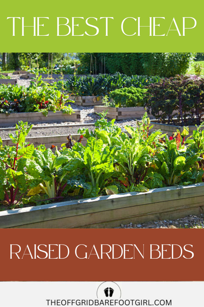 Image illustrates the best cheap raised vegetable garden beds.