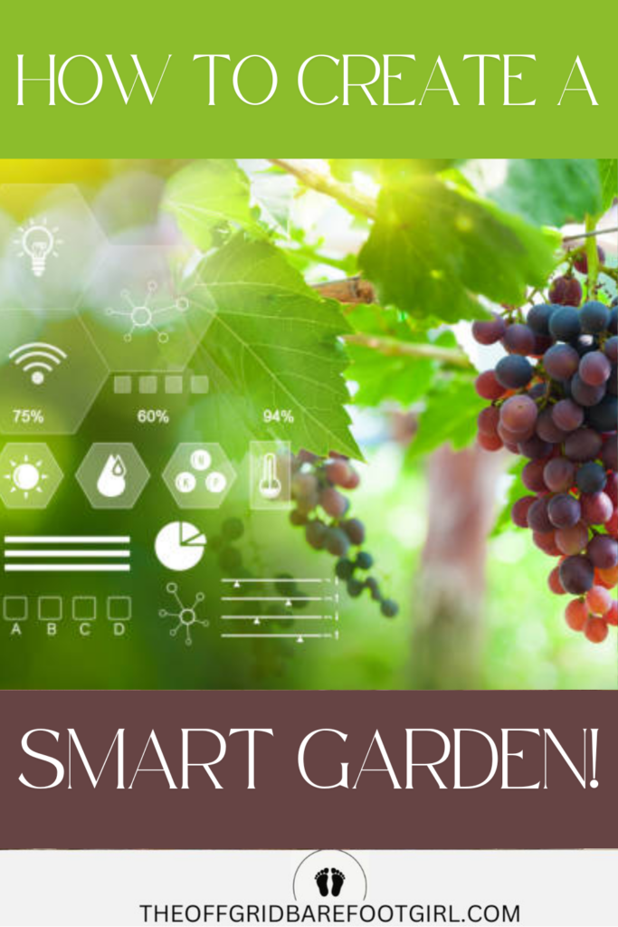 Image illustrates a smart garden.
