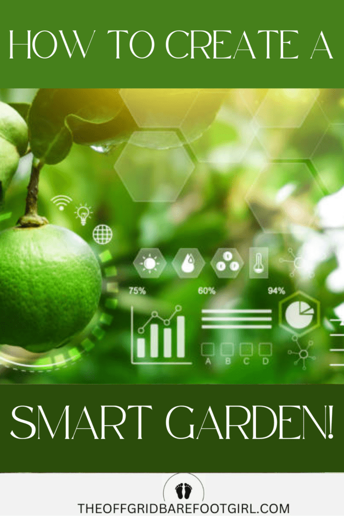 Image illustrates a smart garden.