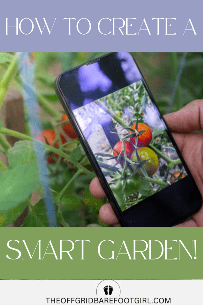 Image illustrates a smart garden.