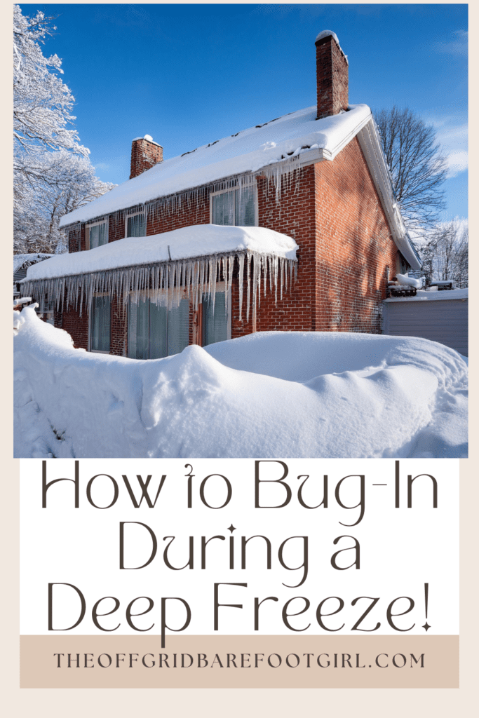 Image illustrates a Pinterest pin of a house covered in snow during a deep freeze.