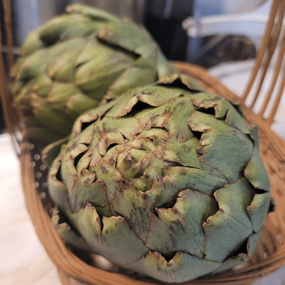 Image illustrates how to grow artichokes.