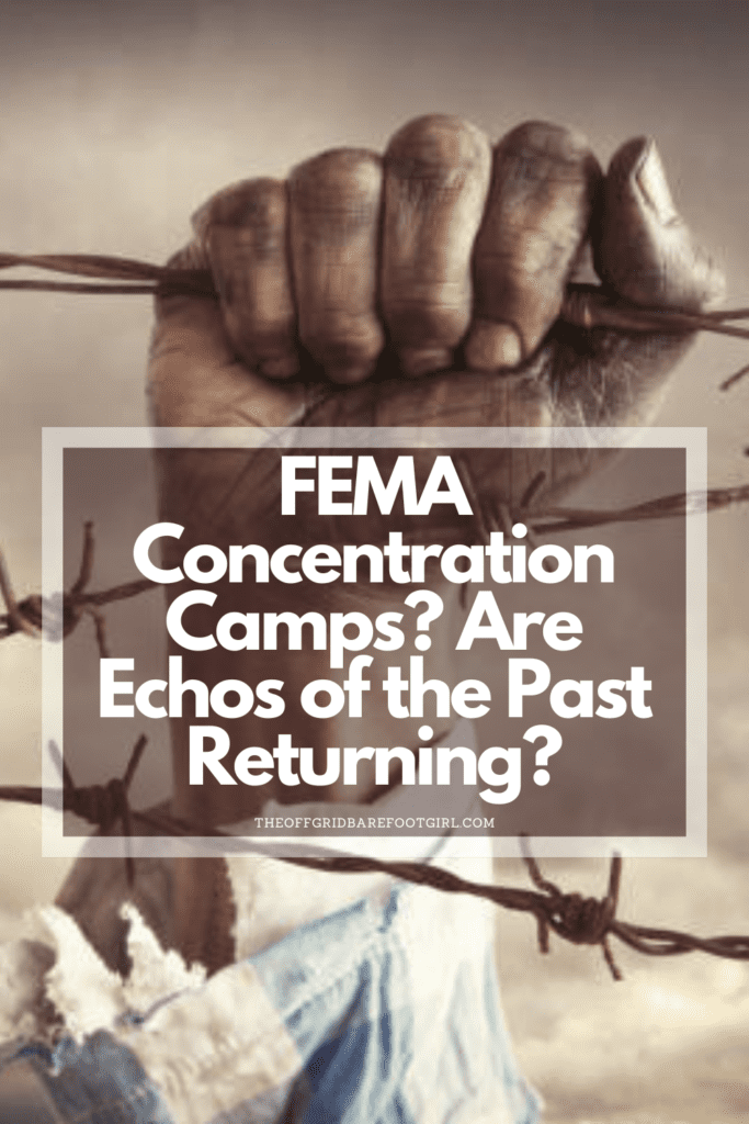 Image illustrates a Pinterest pin of FEMA concentration camps.