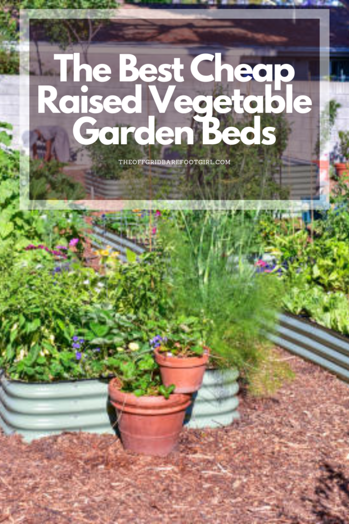 Image illustrates a Pinterest pin of the best cheap raised vegetable garden beds.