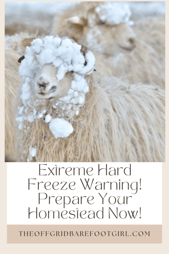 Image illustrates a Pinterest pin of animals in snow during a hard freeze warning.