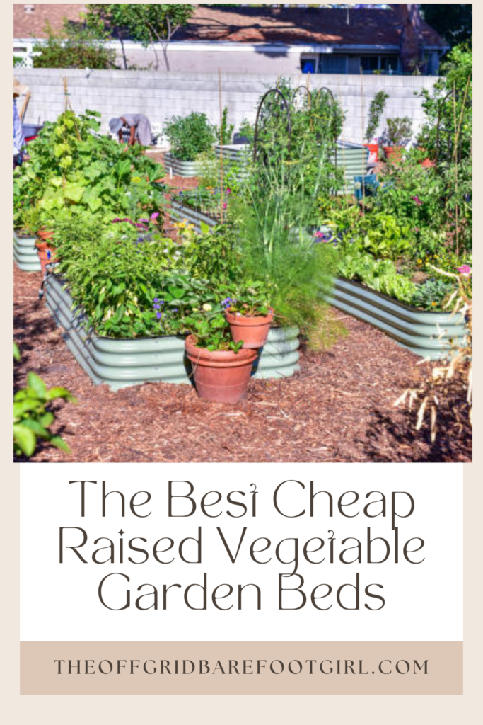 Image illustrates a Pinterest pin of the best cheap raised vegetable garden beds.