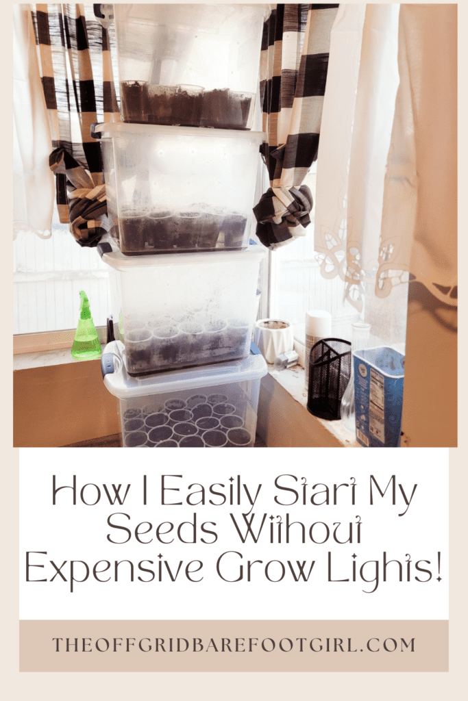 Image illustrates a Pinterest pin of seed starting without grow lights in a greenhouse tower.