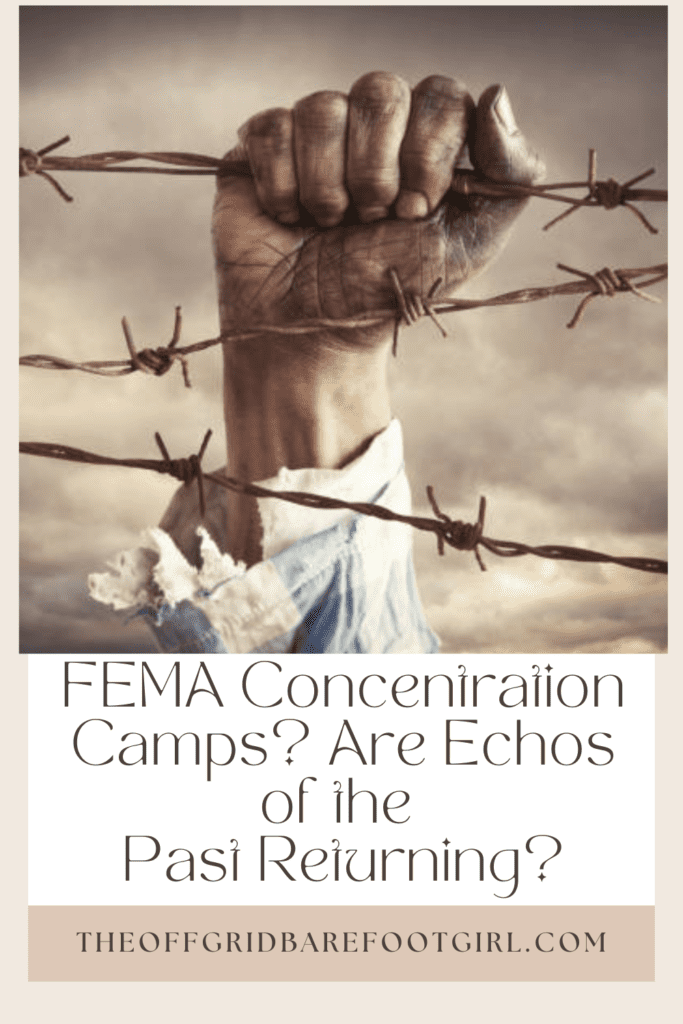 Image illustrates a Pinterest pin of FEMA concentration camps.