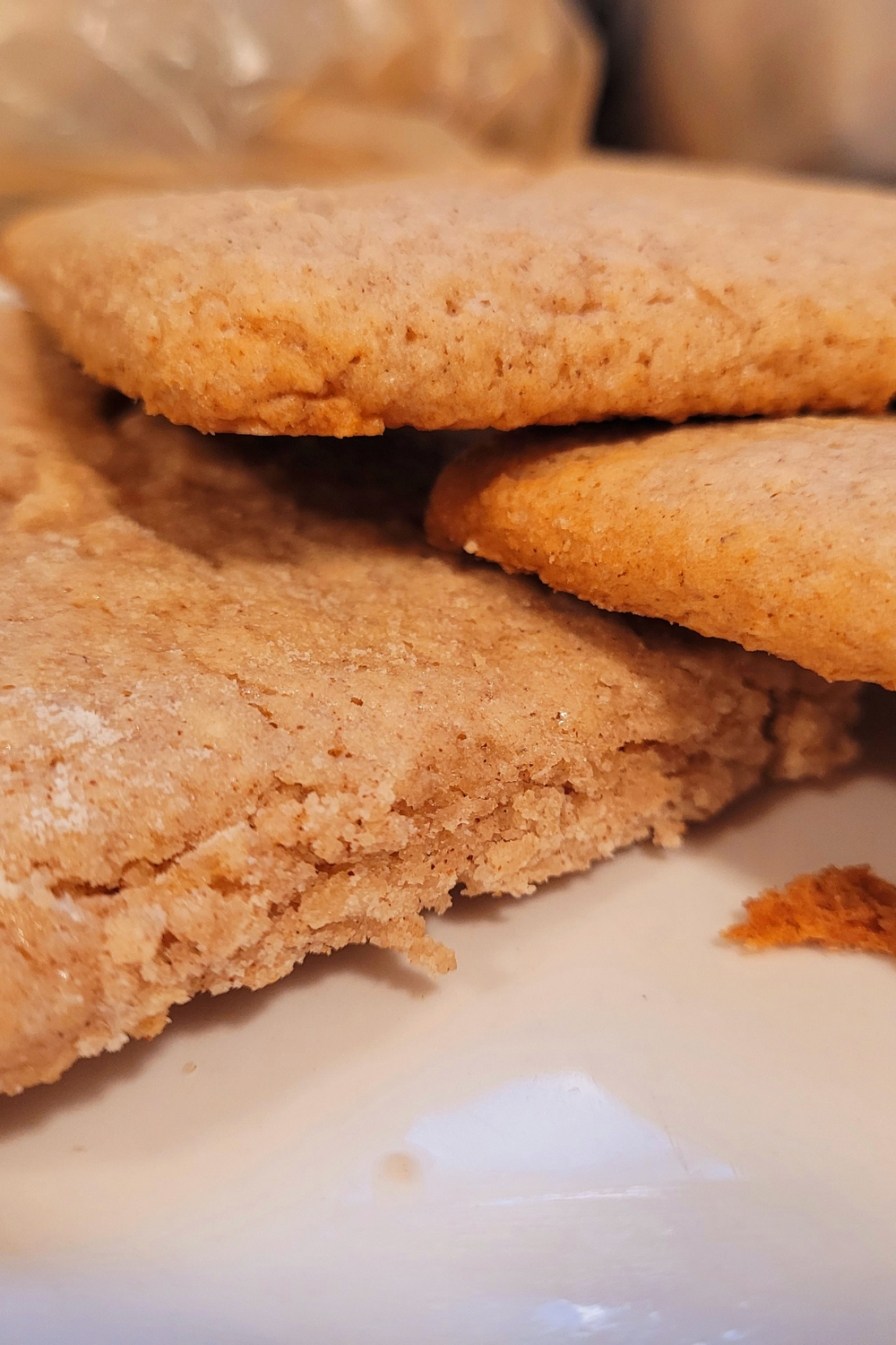 Image illustrates lembas bread.