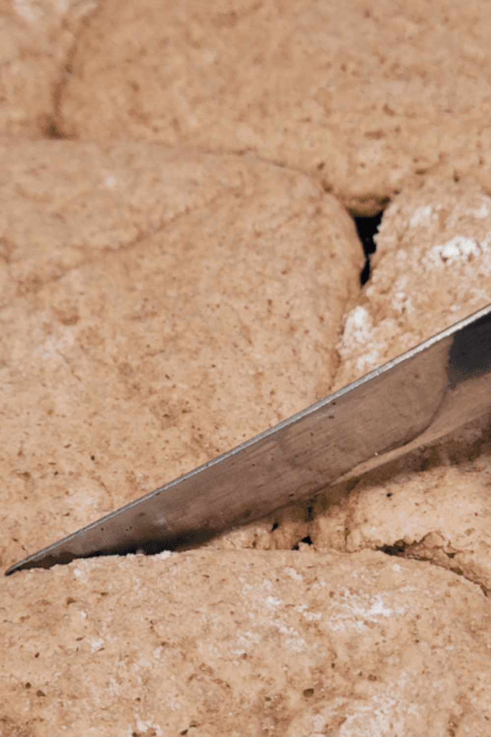 Image illustrates lembas bread.