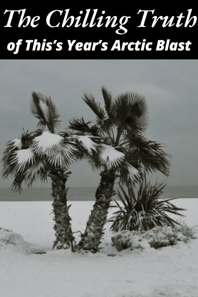 Image illustrates an arctic blast.