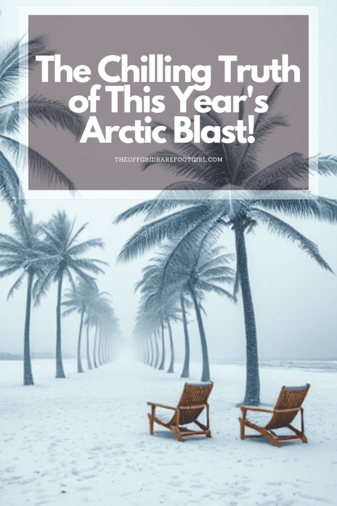 Image illustrates a Pinterest pin of an arctic blast.