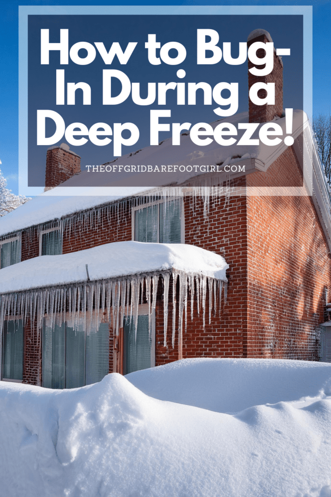 Image illustrates a Pinterest pin of a house covered in snow during a deep freeze.