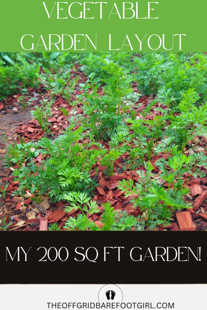 Image illustrates a vegetable garden layout.