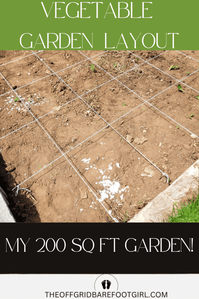 Image illustrates a vegetable garden layout.